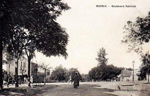 Marnia 246